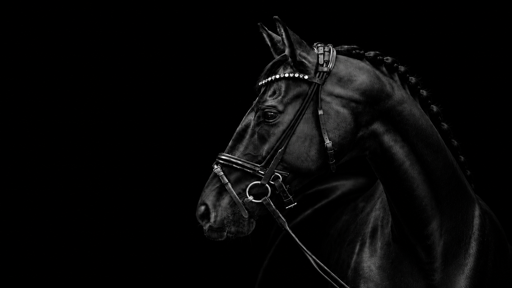 Quadro Hardy Horse